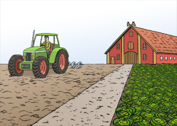 Illustration - zu sehen sind Gemüsefelder mit einem Traktor und einem Haus im Hintergrund