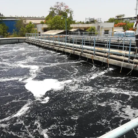 Wasserbecken einer Kläranlage in Solapur in Indien